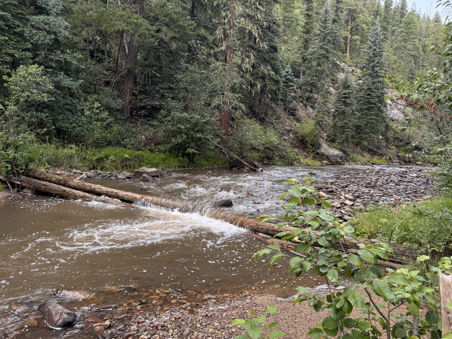 The Pecos River running full and fast over rocks and logs after a monsoon rain
