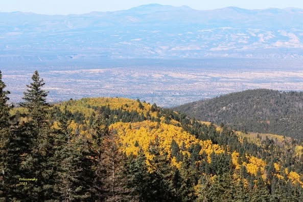 Fall foliage aerial view Pecos Wilderness
