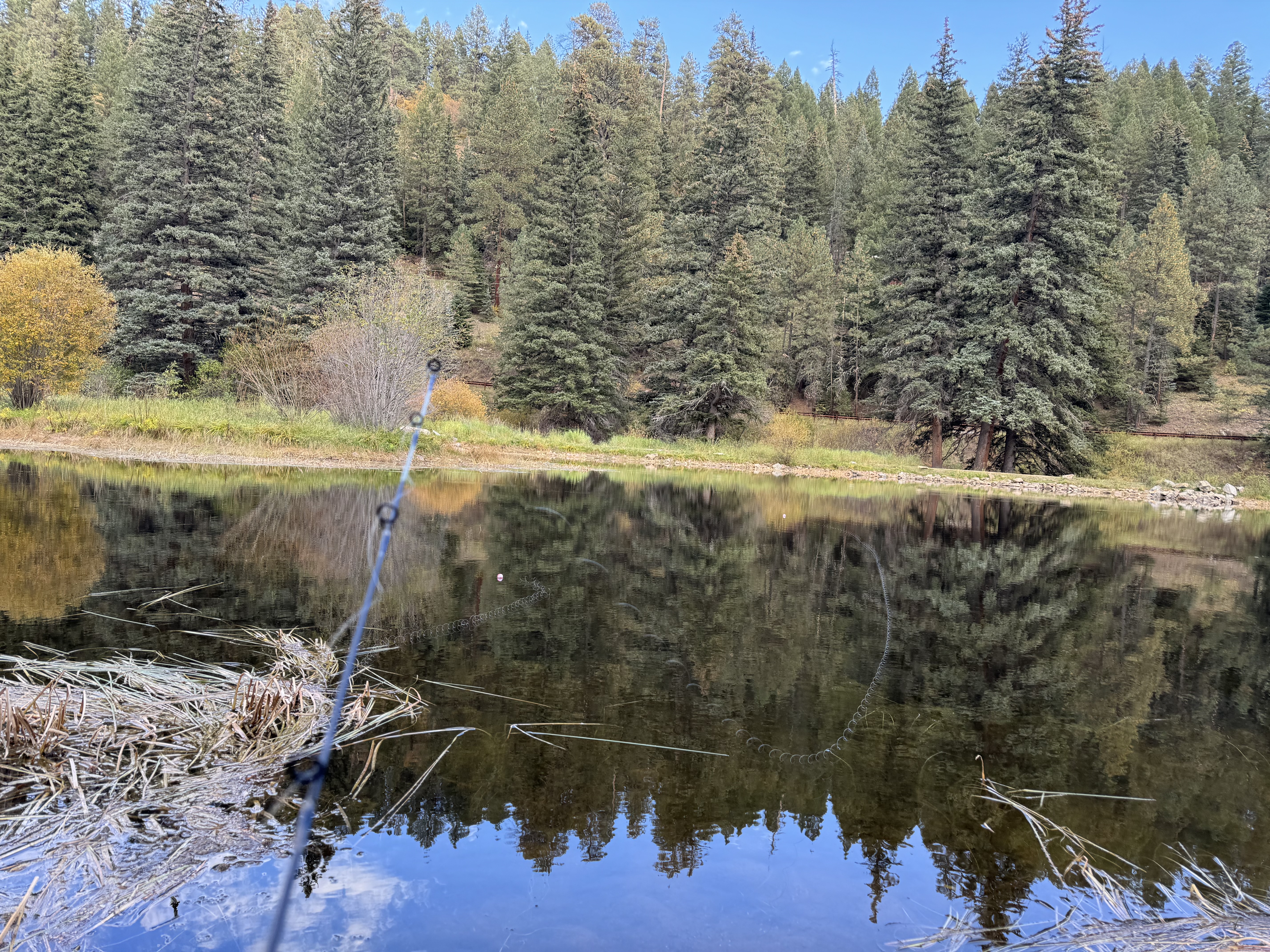Fishing rod at Cowles Ponds Pecos Canyon