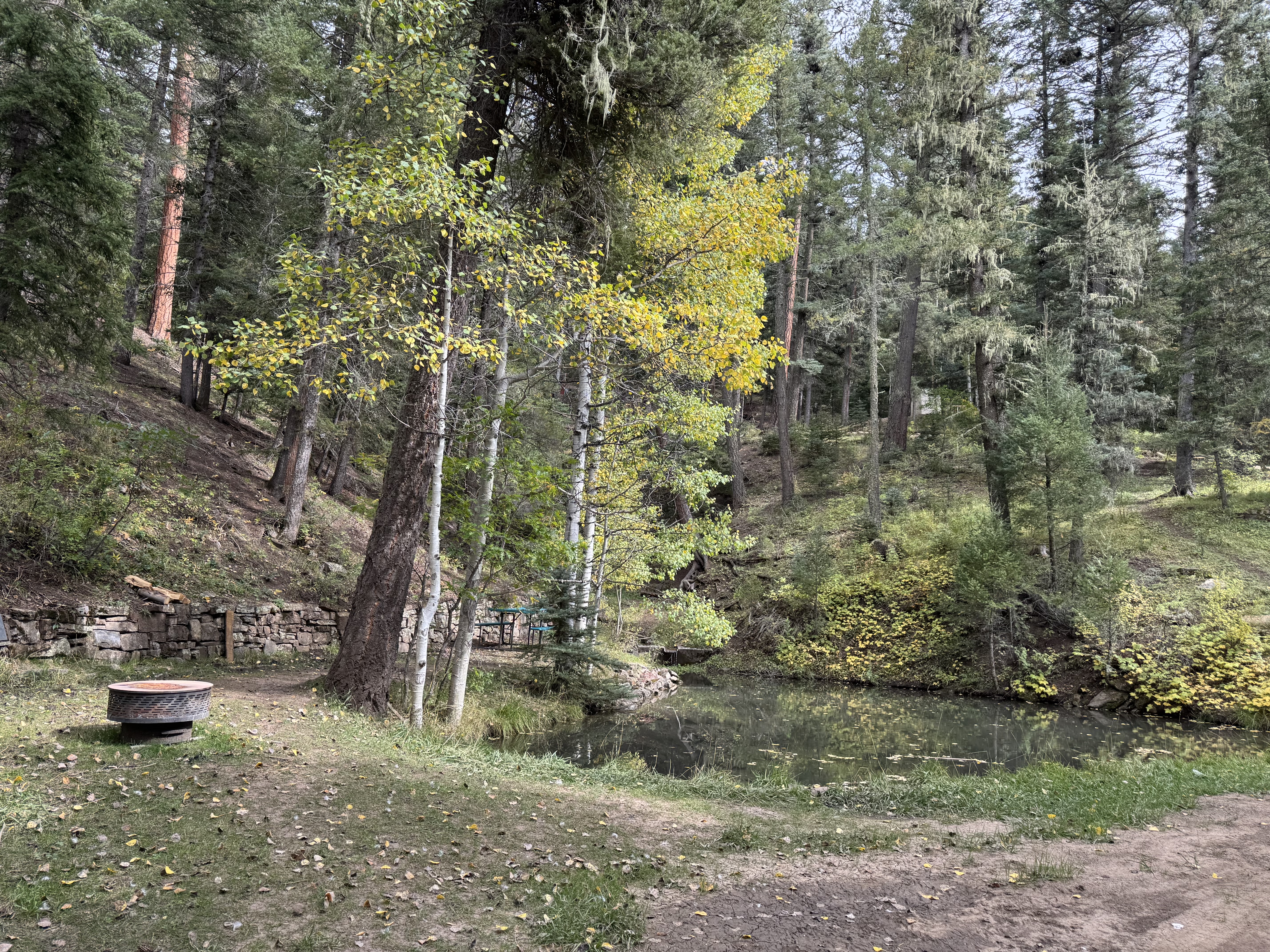 Private trout pond at Vida Bonita Pecos fall aspens