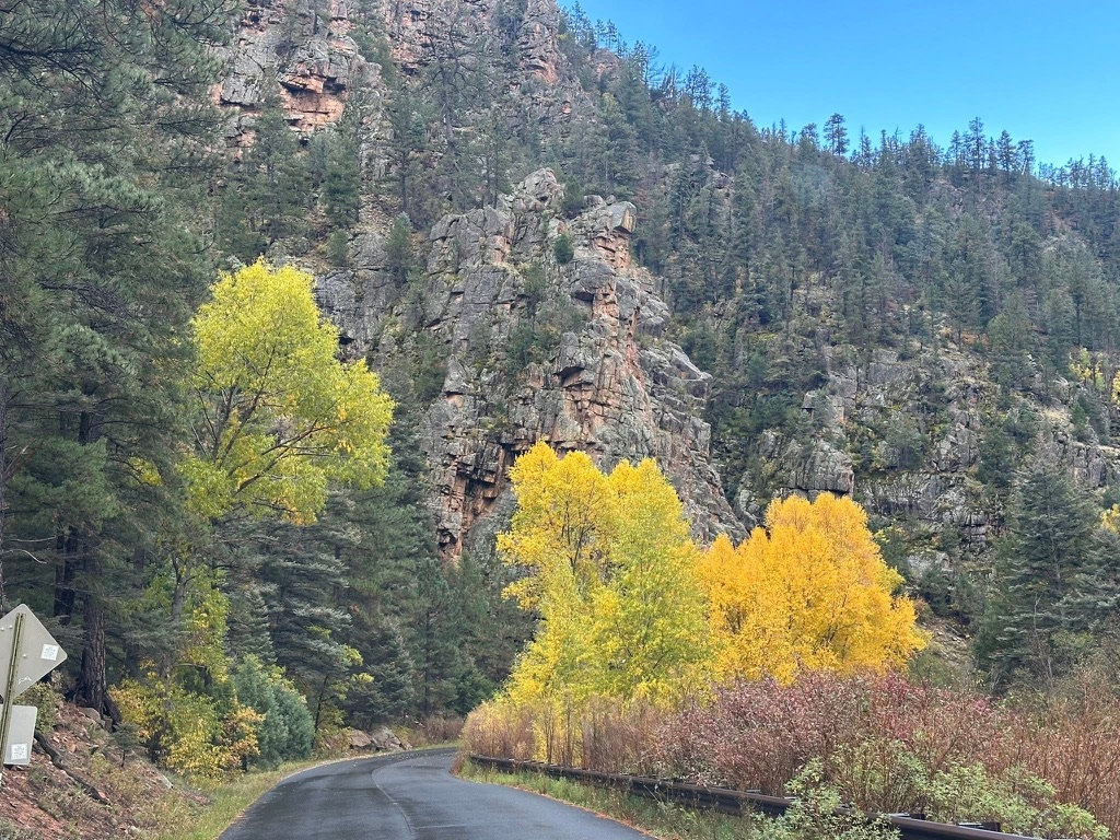 Best hiking trails Pecos Canyon New Mexico