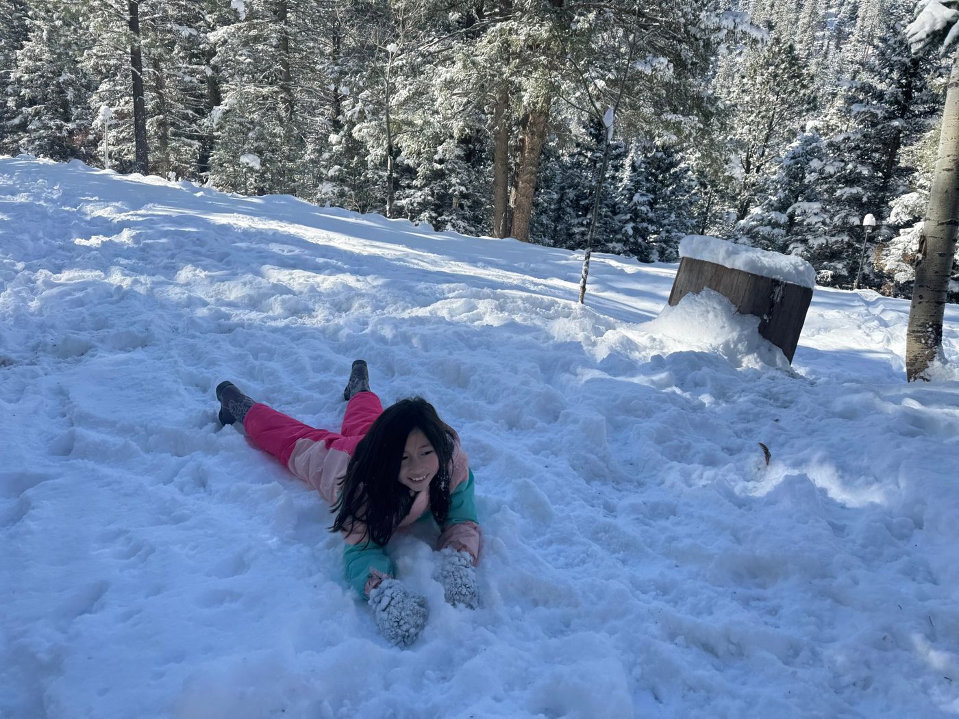 A girl slides down a snowy slope on the property, surrounded by snow-covered pines